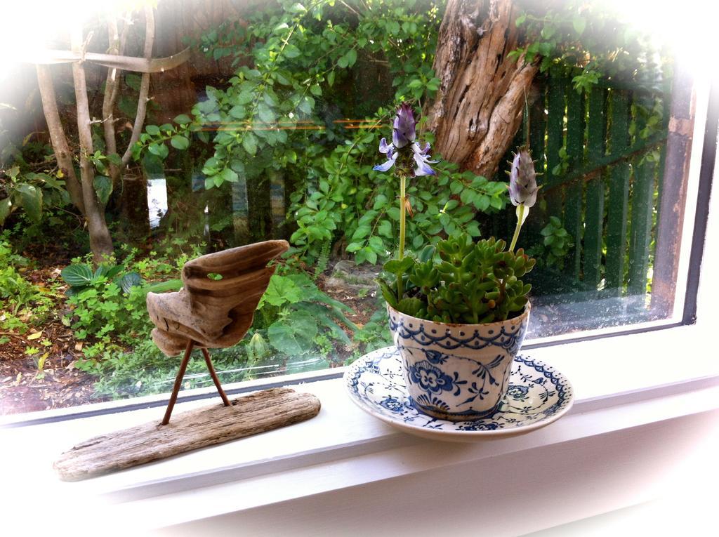 シー ソルト Bnb ローズバッド 部屋 写真