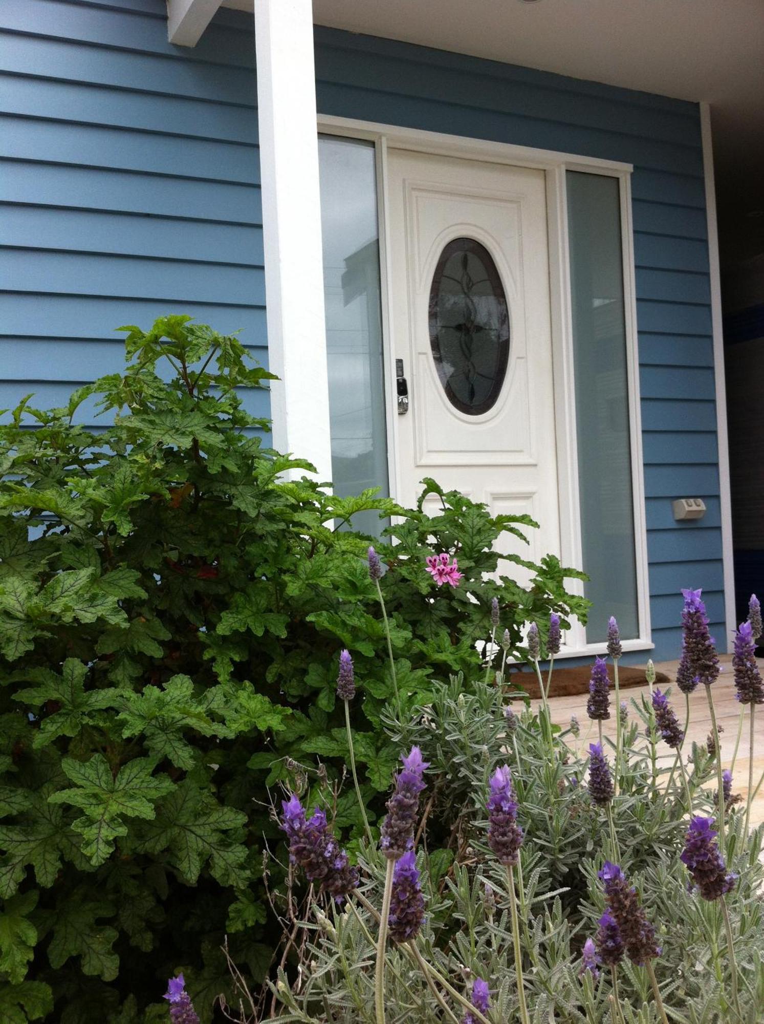 シー ソルト Bnb ローズバッド 部屋 写真
